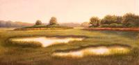 Salt Marsh Ponds