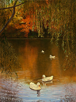 Autumn On the Pond