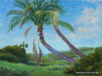 Pompano Beach Palms 