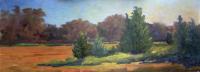 Fenno Street Field II