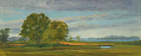 Salt Marsh Oaks 