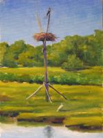 The Osprey Perch 